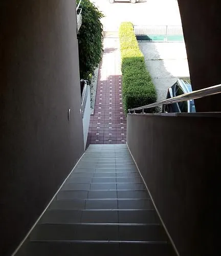 Adrian 비오그라드나모루