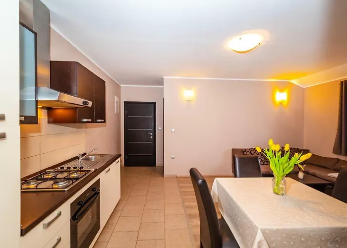 Adrian 비오그라드나모루